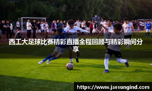 中欧体育官网版