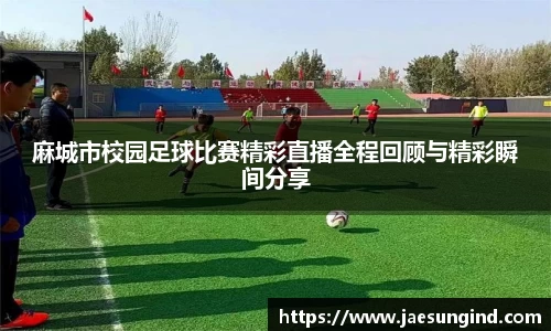 中欧体育手机网页版登录