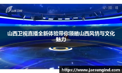 山西卫视直播全新体验带你领略山西风情与文化魅力