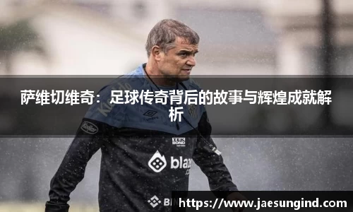 中欧体育官网入口