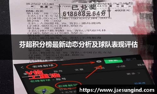 芬超积分榜最新动态分析及球队表现评估