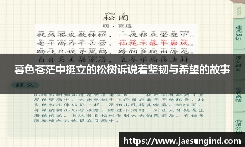 中欧体育官网版