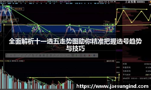 全面解析十一选五走势图助你精准把握选号趋势与技巧