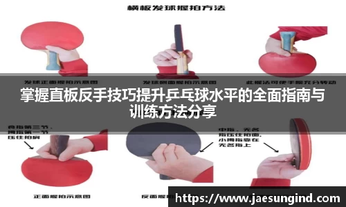 掌握直板反手技巧提升乒乓球水平的全面指南与训练方法分享