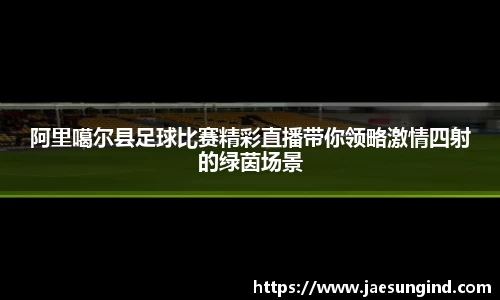 中欧体育手机网页版登录