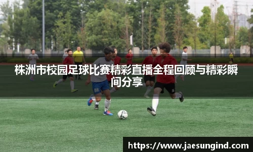 中欧体育官网版